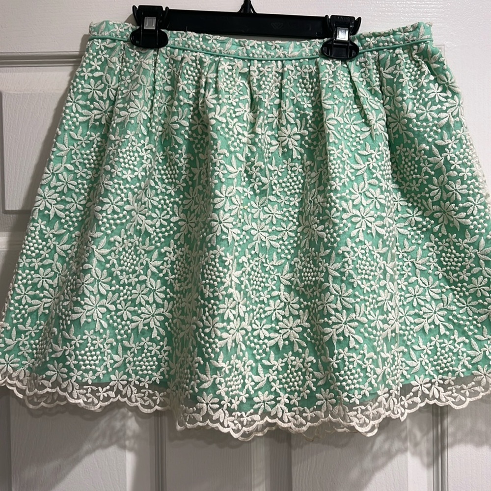 Zara Basic Spring Mini Skirt